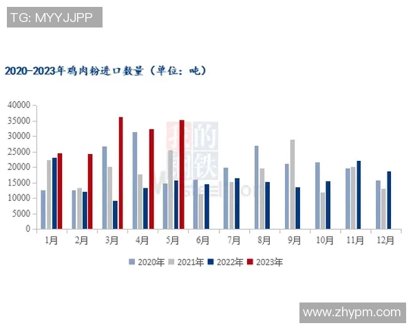 查内尔与安特卫普的较量分析与战术解读全面解析